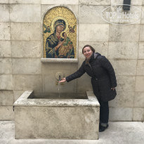 фото из отзыва ID 1726410