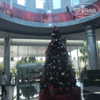 фото из отзыва ID 1726653