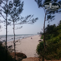 фото из отзыва ID 1726710