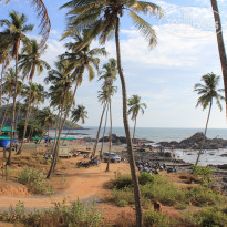 фото из отзыва ID 1726710