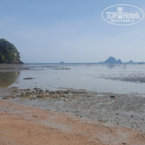 фото из отзыва ID 1726721