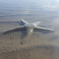 фото из отзыва ID 1726721