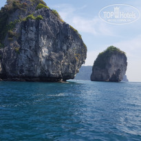 фото из отзыва ID 1726721