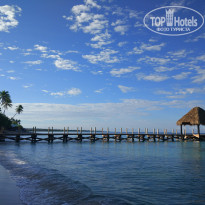 фото из отзыва ID 1726825