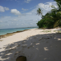 фото из отзыва ID 1726825