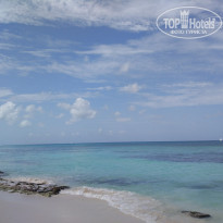 фото из отзыва ID 1726825