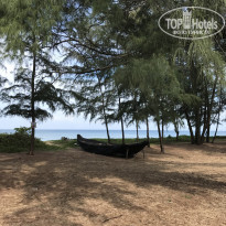 фото из отзыва ID 1726857