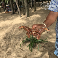 фото из отзыва ID 1726857