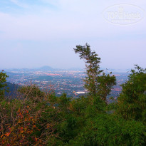 фото из отзыва ID 1726847