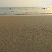 фото из отзыва ID 1726847