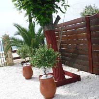 фото из отзыва ID 1727075