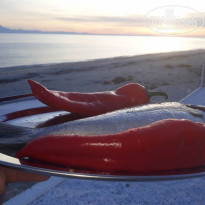 фото из отзыва ID 1727075