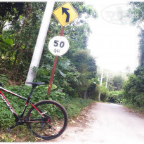 фото из отзыва ID 1727140