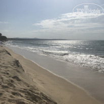 фото из отзыва ID 1727184