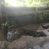 фото из отзыва ID 1727184