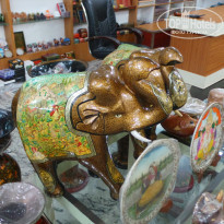 фото из отзыва ID 1727195