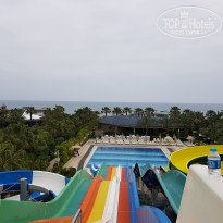 фото из отзыва ID 1727244