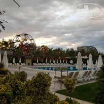 фото из отзыва ID 1727244