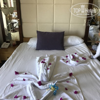 фото из отзыва ID 1727307