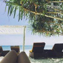 фото из отзыва ID 1727347