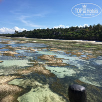 фото из отзыва ID 1727347