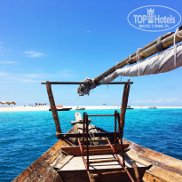 фото из отзыва ID 1727347