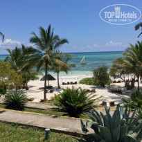 фото из отзыва ID 1727347