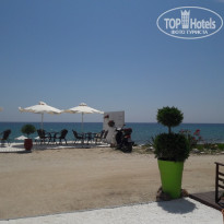 фото из отзыва ID 1727075