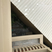 фото из отзыва ID 1727407