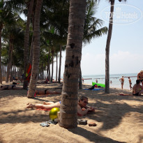 фото из отзыва ID 1727430