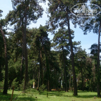 фото из отзыва ID 1727457