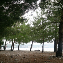 фото из отзыва ID 1727457