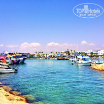 фото из отзыва ID 1727522