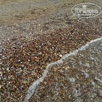 фото из отзыва ID 1727452