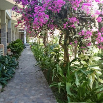 фото из отзыва ID 1727660