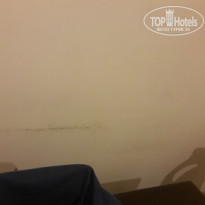 фото из отзыва ID 1727725