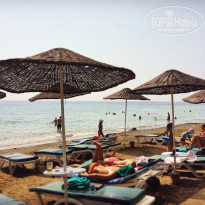 фото из отзыва ID 1727519