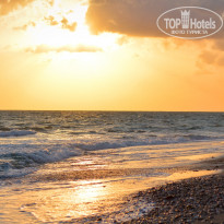 фото из отзыва ID 1727519