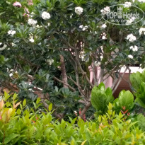 фото из отзыва ID 1727884