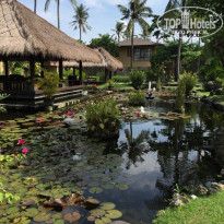 фото из отзыва ID 1727992