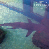 фото из отзыва ID 1728014