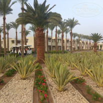 фото из отзыва ID 1728046