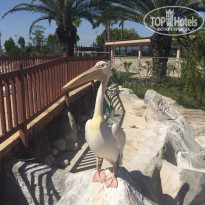 фото из отзыва ID 1728099