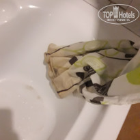 фото из отзыва ID 1728122