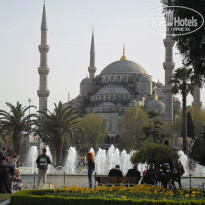 фото из отзыва ID 1728567