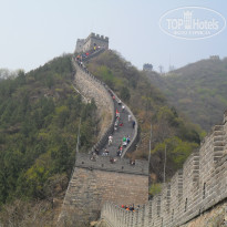 фото из отзыва ID 1728567