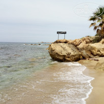 фото из отзыва ID 1728790