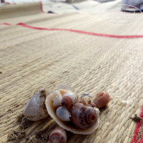 фото из отзыва ID 1728790