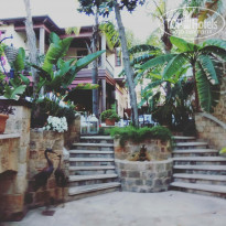 фото из отзыва ID 1728851