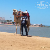 фото из отзыва ID 1728984